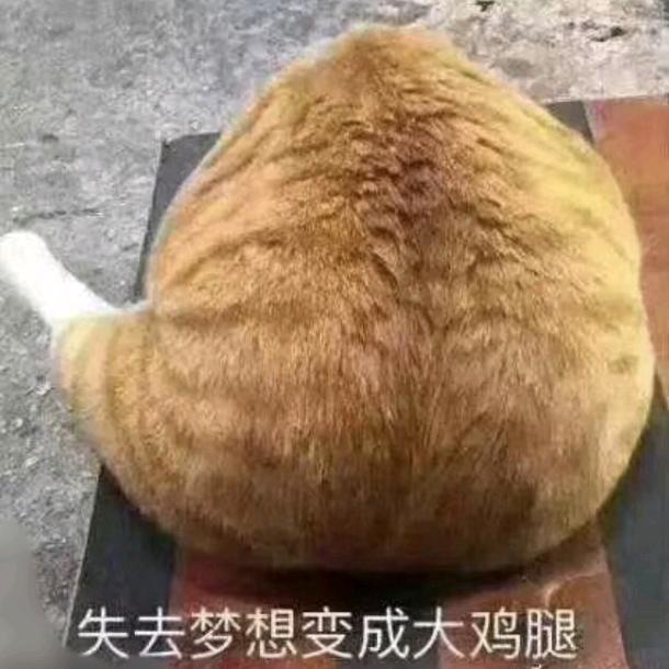 周周吃喝玩乐（遛娃版）