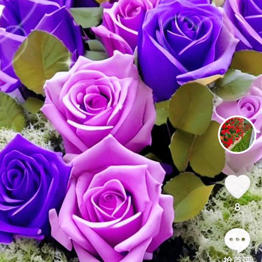 👫开心快乐😀