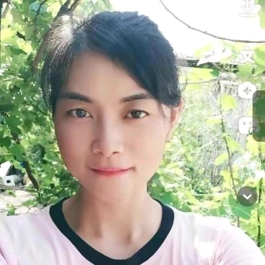 樱花姐（首播筹备中）