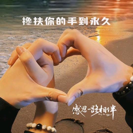 大D哥头像