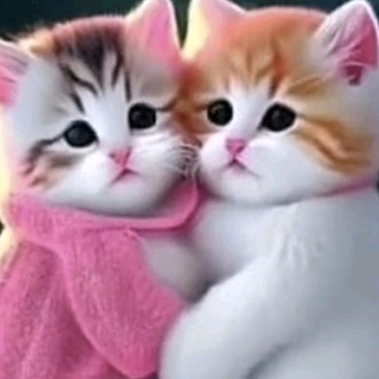 能开心就开心，能潇洒就潇洒💓💓💓?