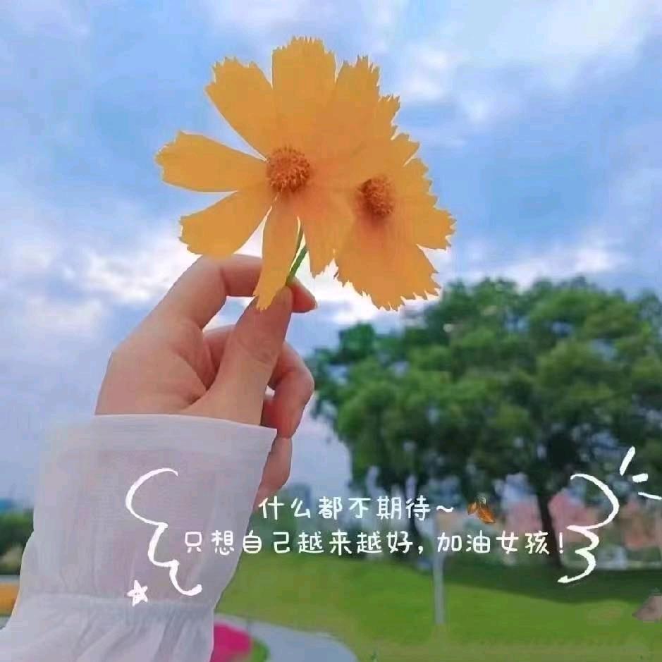 花蕾老师