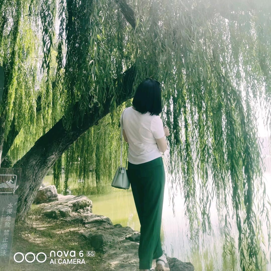 ꧁༺太阳雨༻꧂