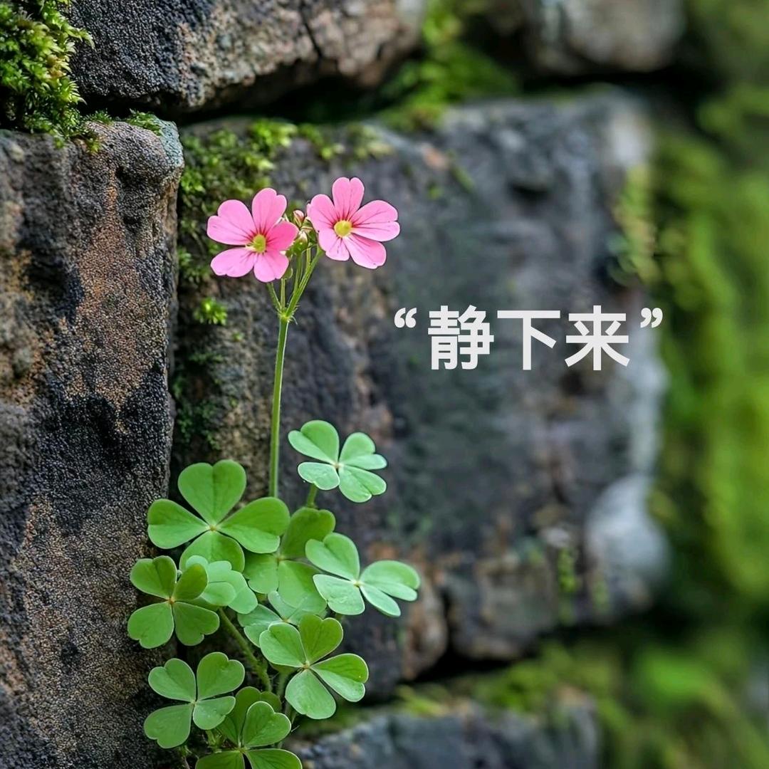 乐观