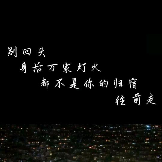 漂泊信天翁