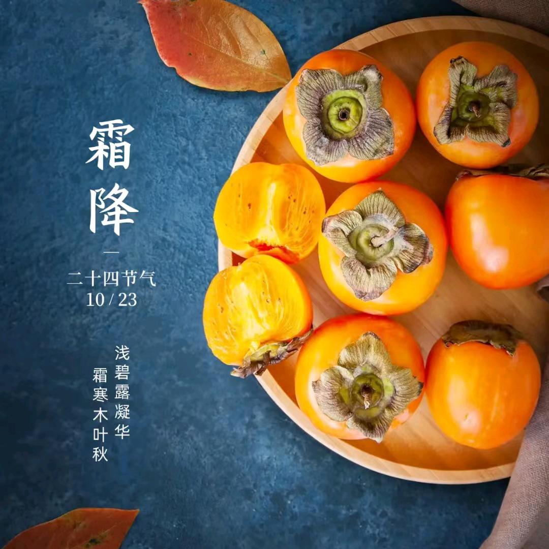 🌻缘来一生🌴