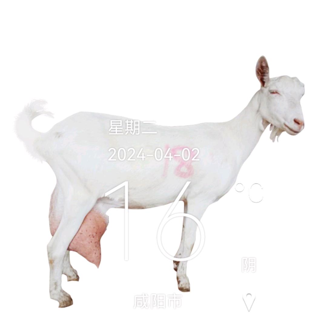 乾盛源（王者荣耀）