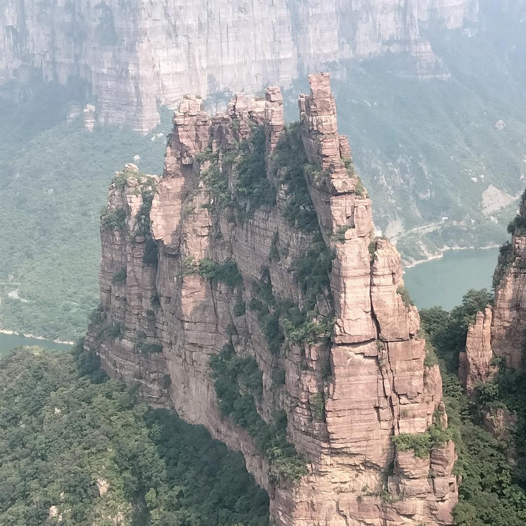 木木呆