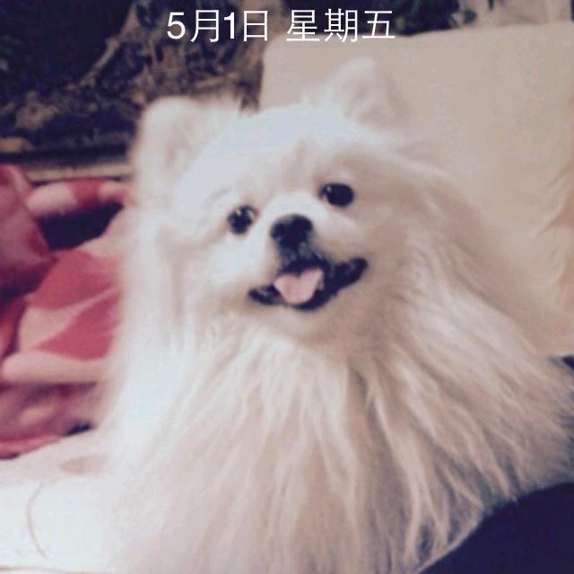 老残游济
