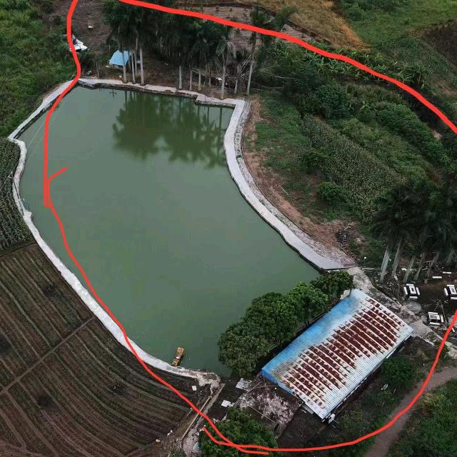 李双赢（免费代发场地出租信息）