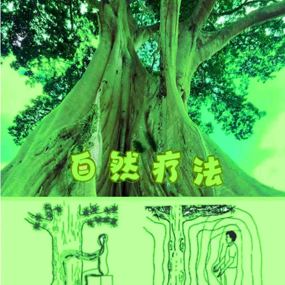 大道至简～～～～～