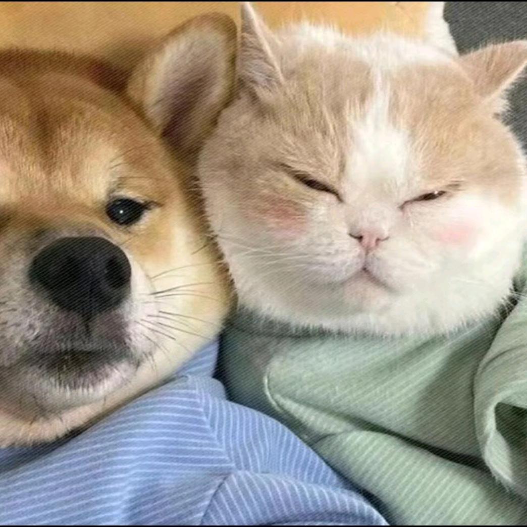 @。。。。。。。