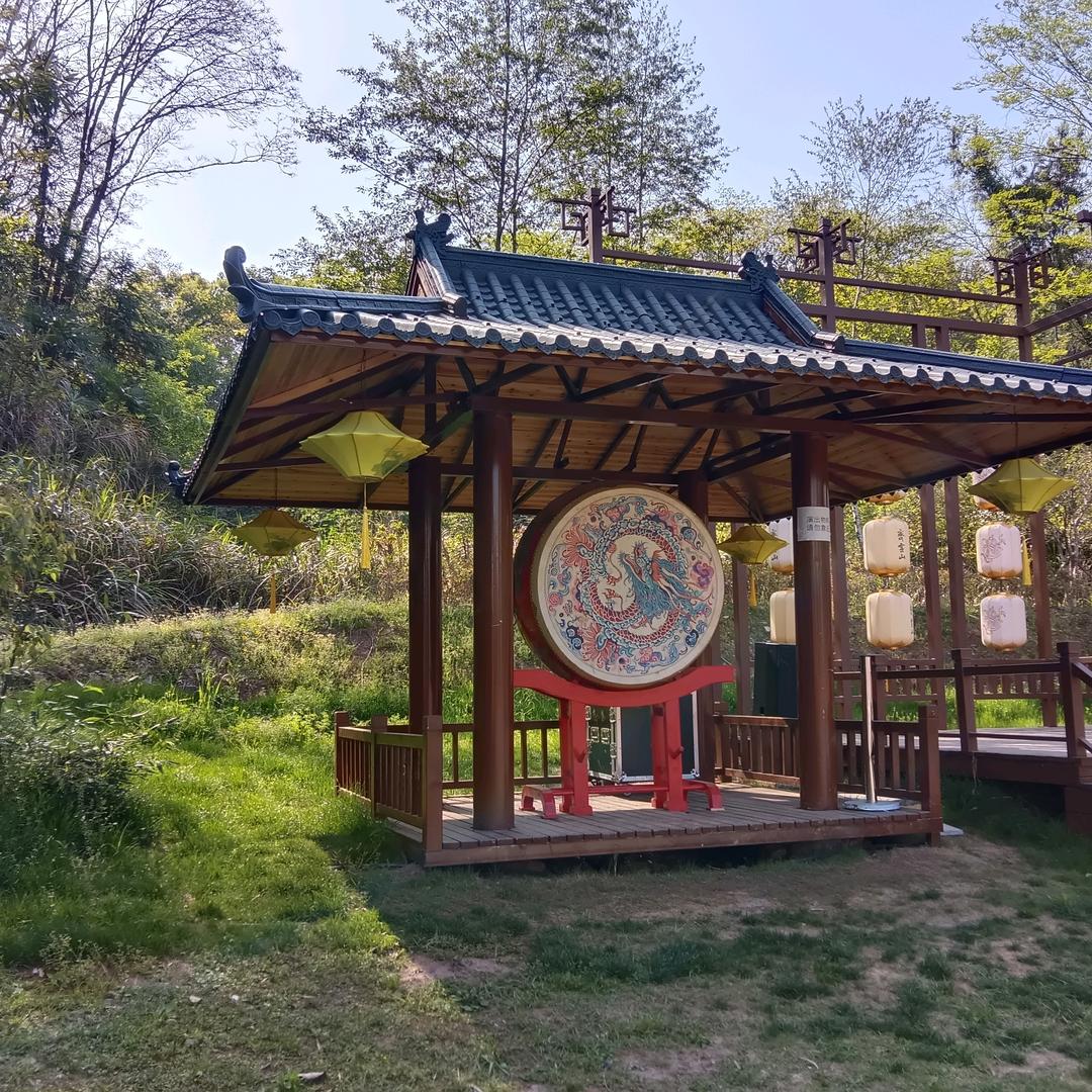 棠源老金