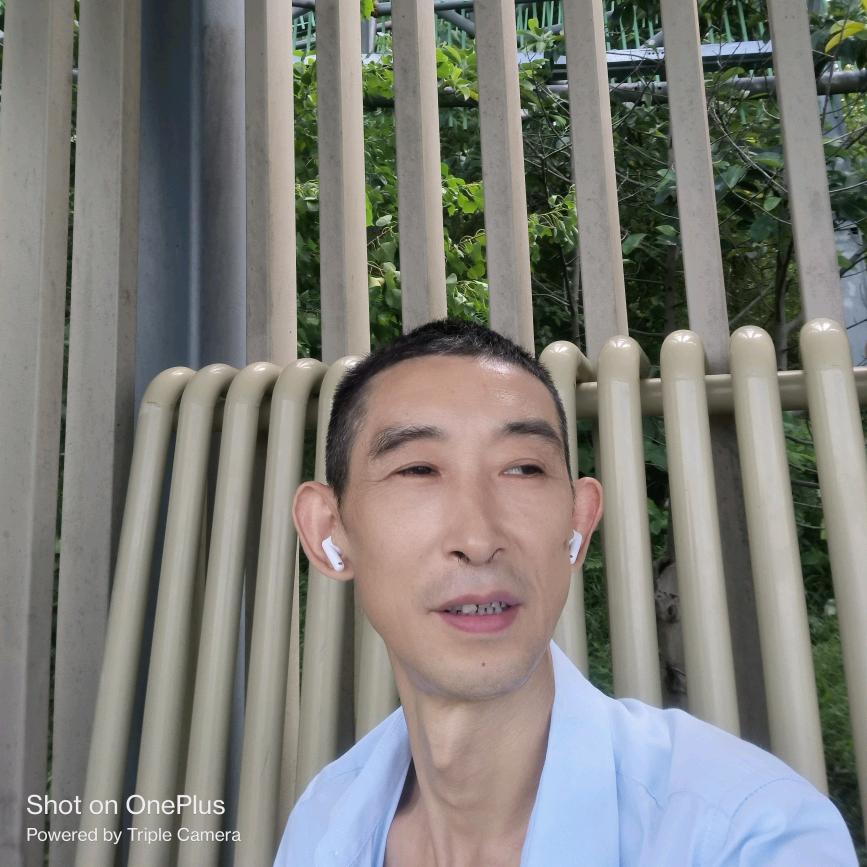 小白杨