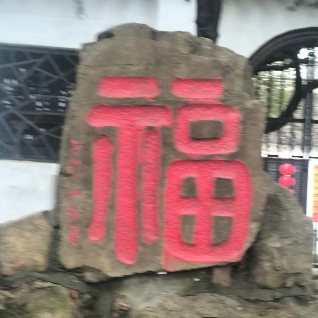 海阔天空11DG8