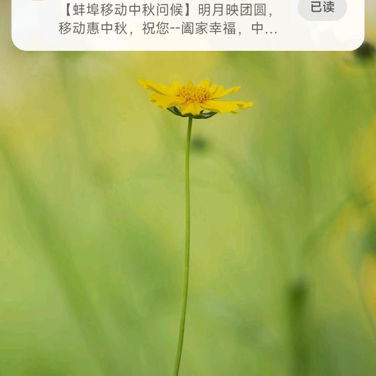 用户5895732664171