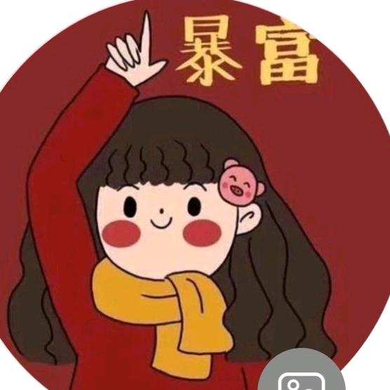 锦鲤暴富壳