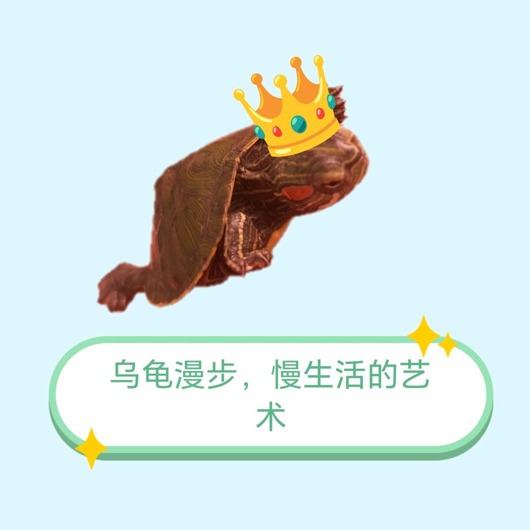 MC_小监控人