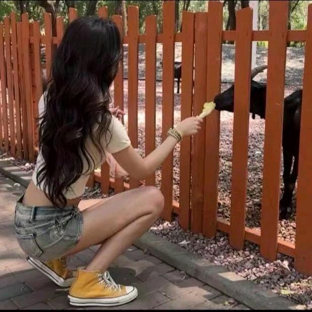 竺车说