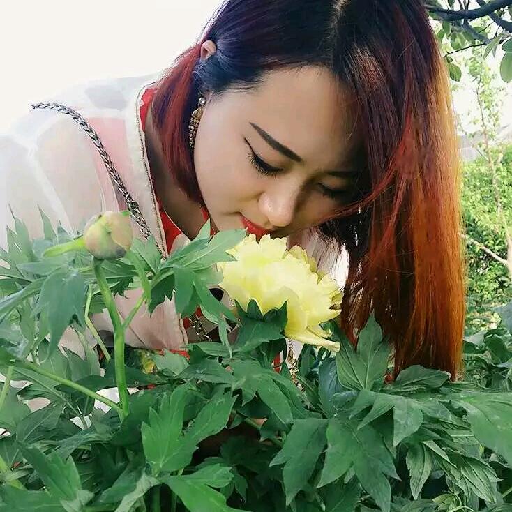 羊毛娟