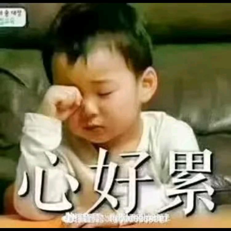 不要再回来，我也不再重来。