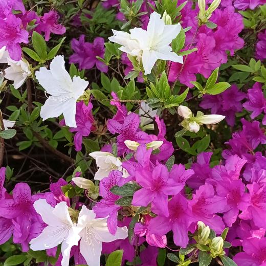 用户梅9357407570467拒私聊