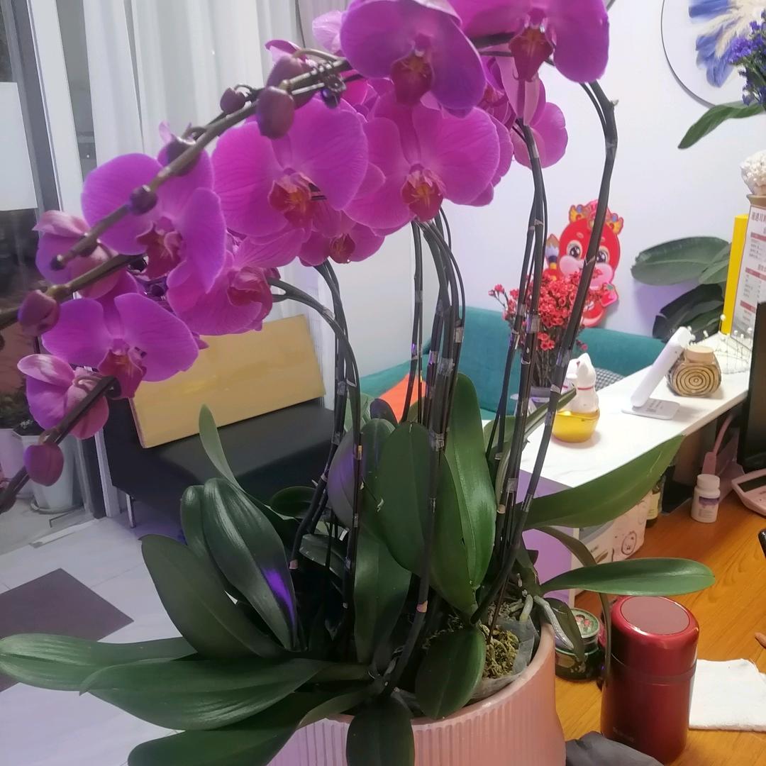 专业防腐环氧地坪