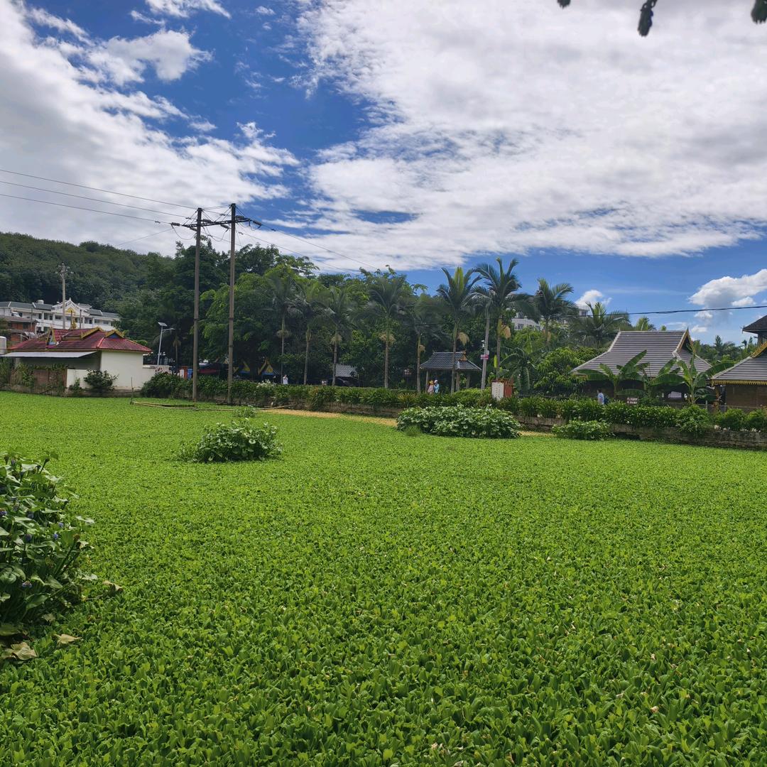 在旅途中