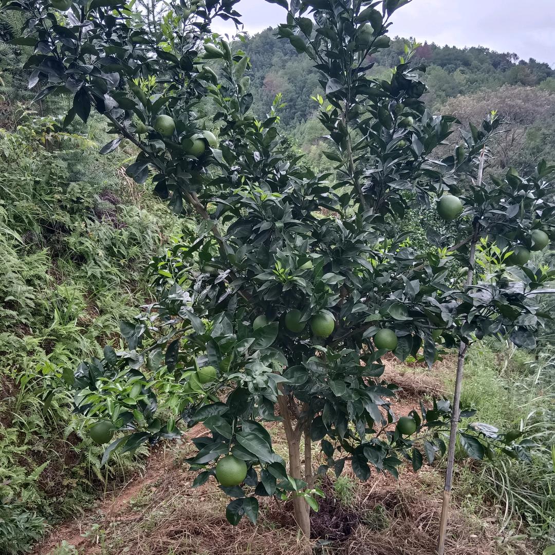 幸福靠自己努力
