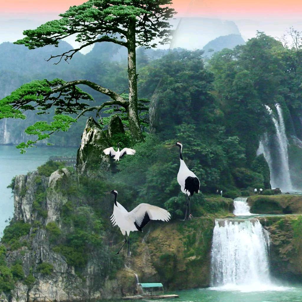 🎣简单🎣大叔🎣