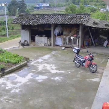 中国刘文忠