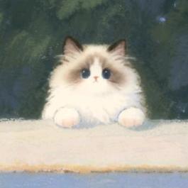 焦糖布丁小团子