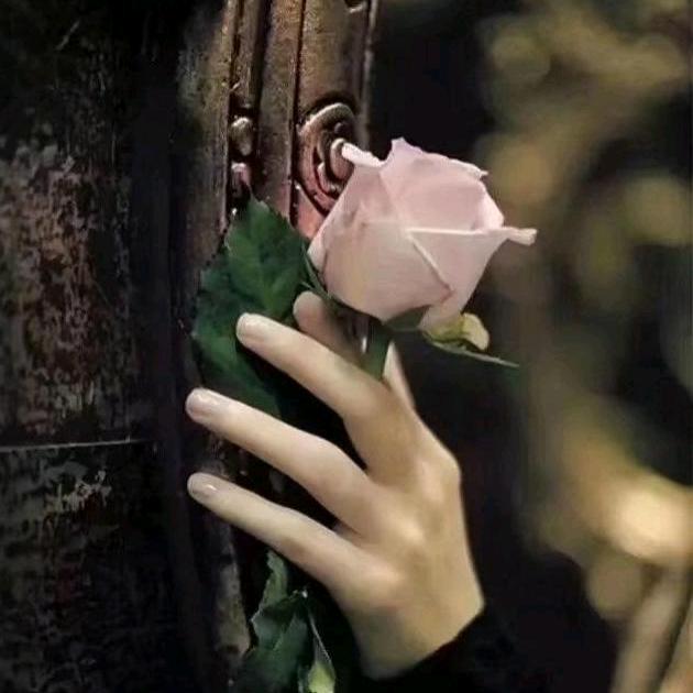 🥀梅🌿ᮩ້꧔ꦿ᭄🍒