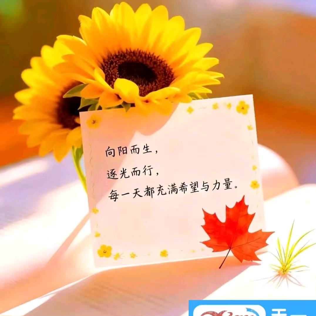 朵朵欣