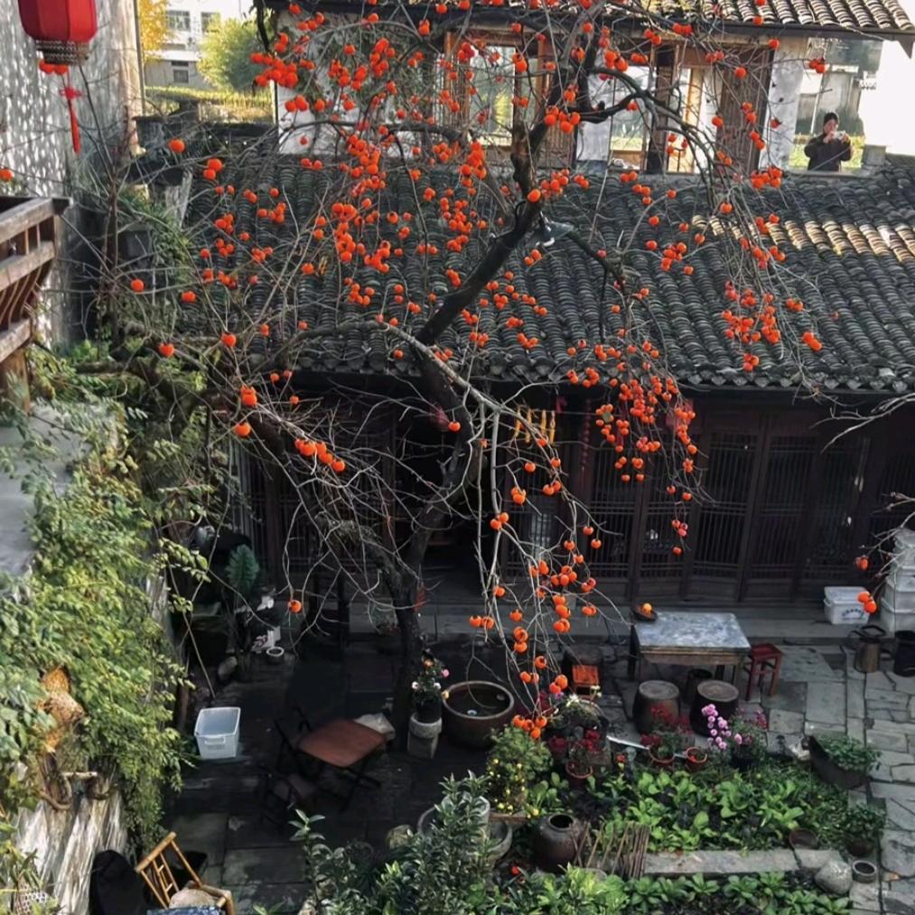 饮水思源
