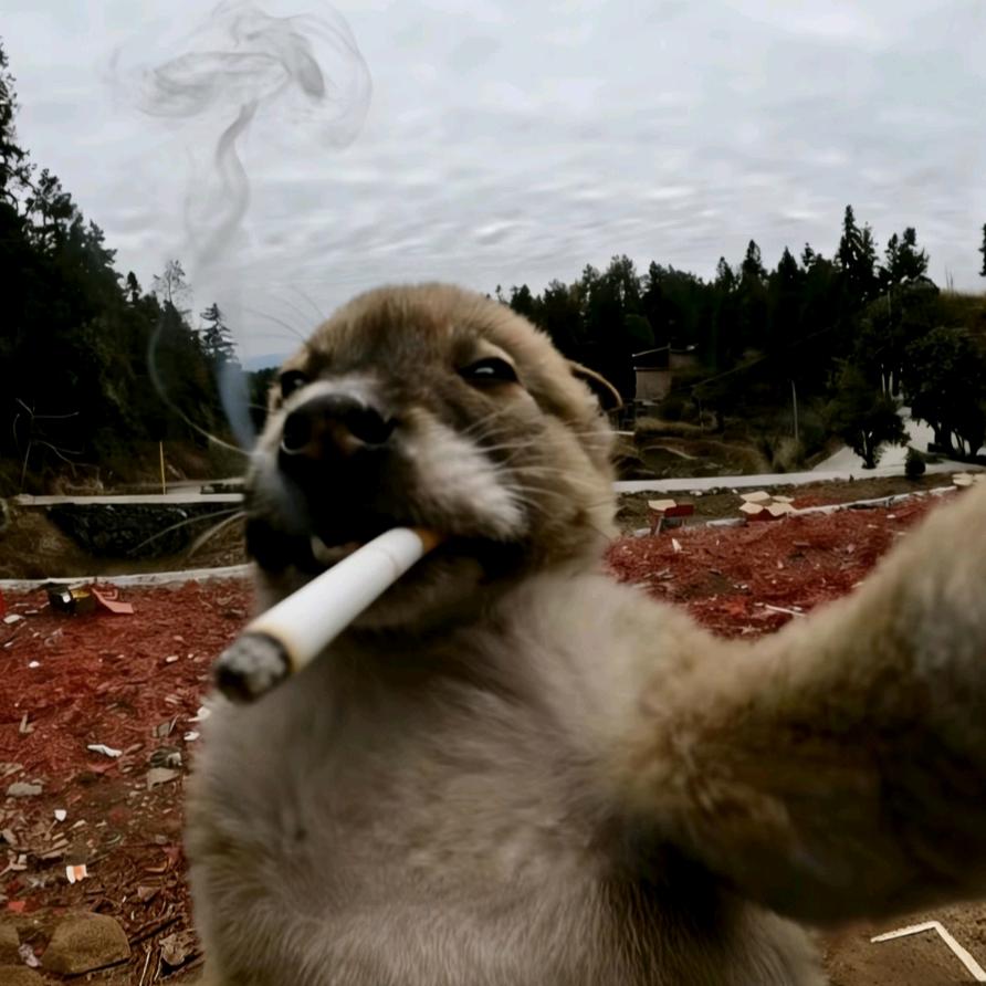天子脚下