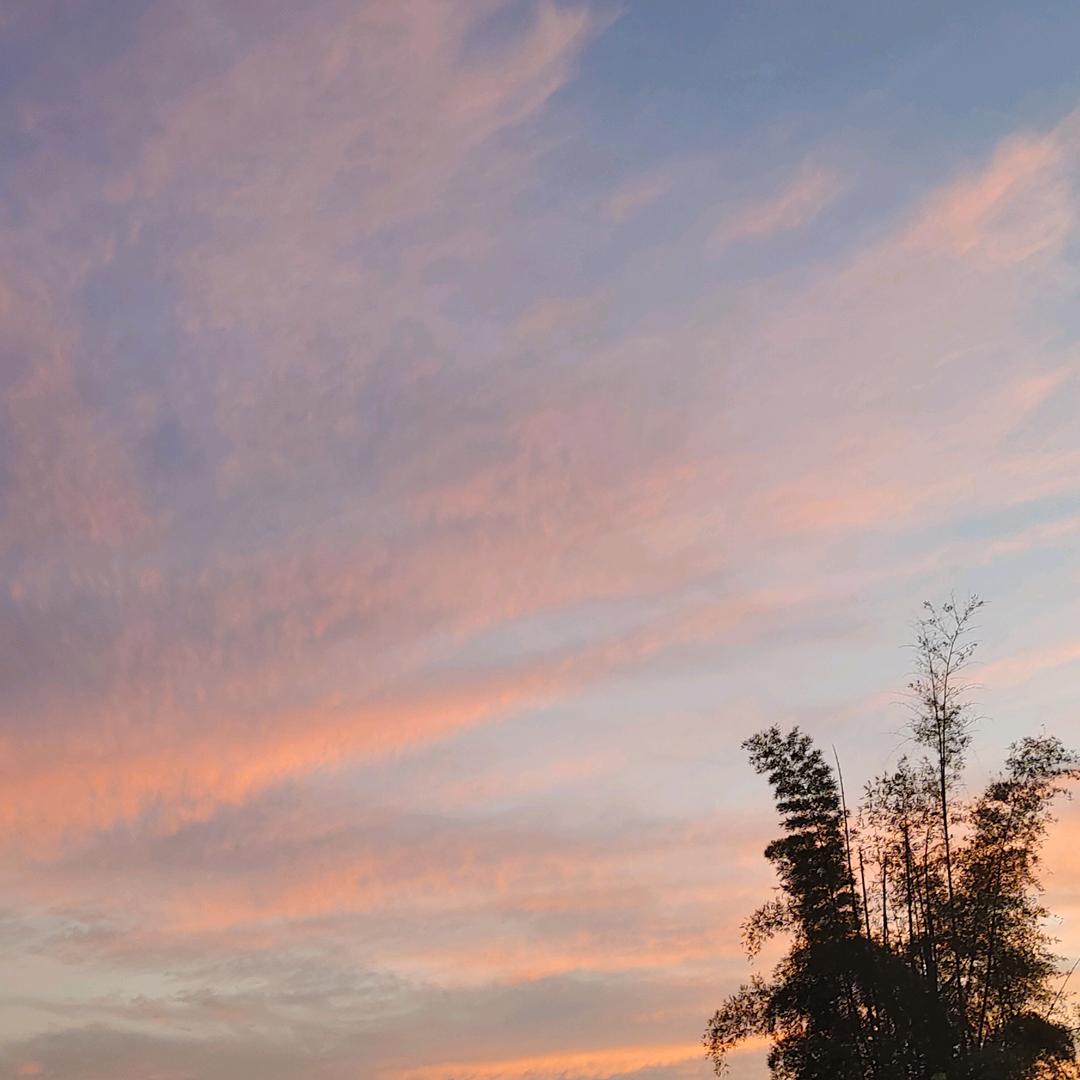 火花推文（欢迎关注）