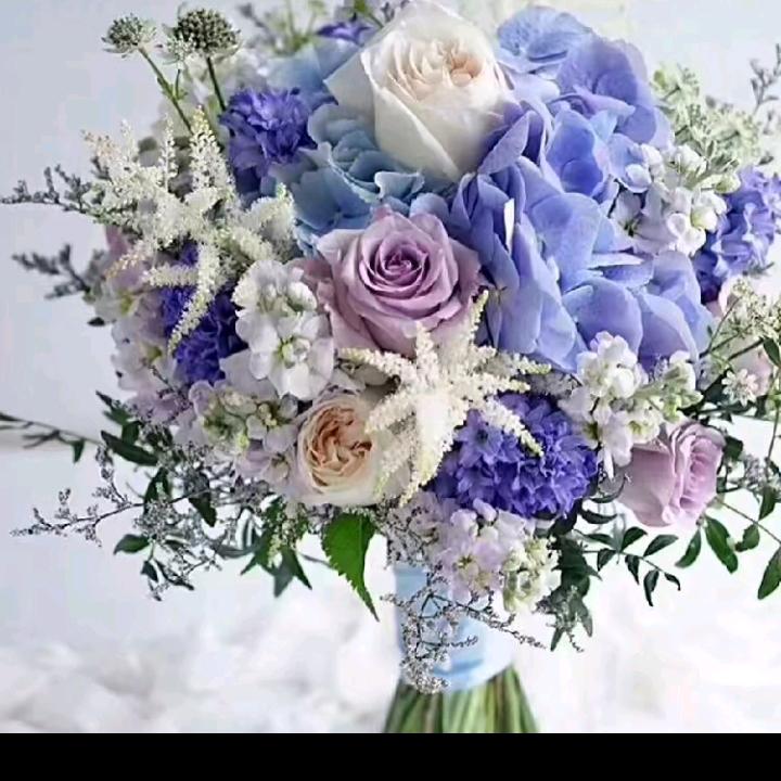 开心每一天