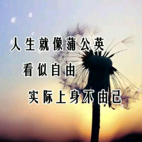 望天空