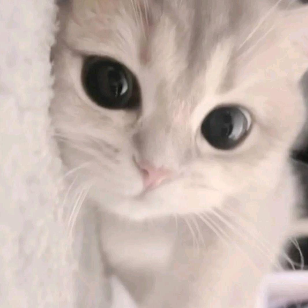 鱼横