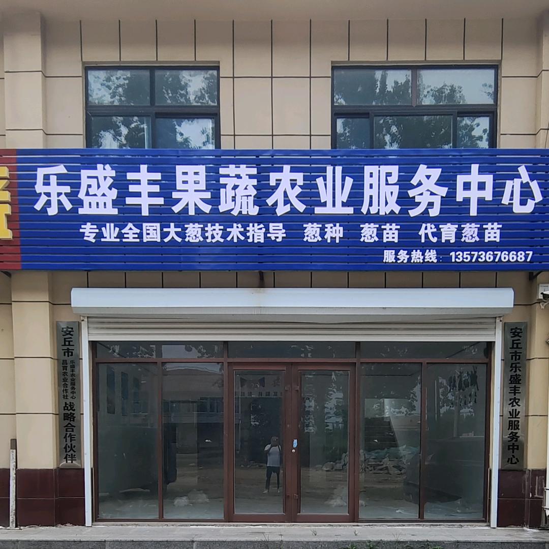 乐盛丰农业、大葱育苗、葱种、葱苗