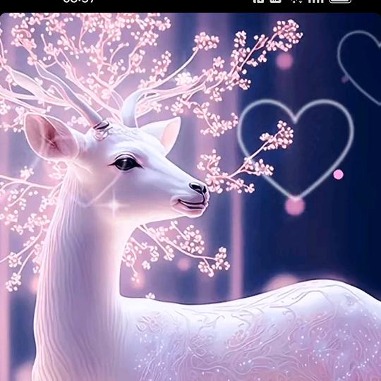 💐🍀夏日宁静