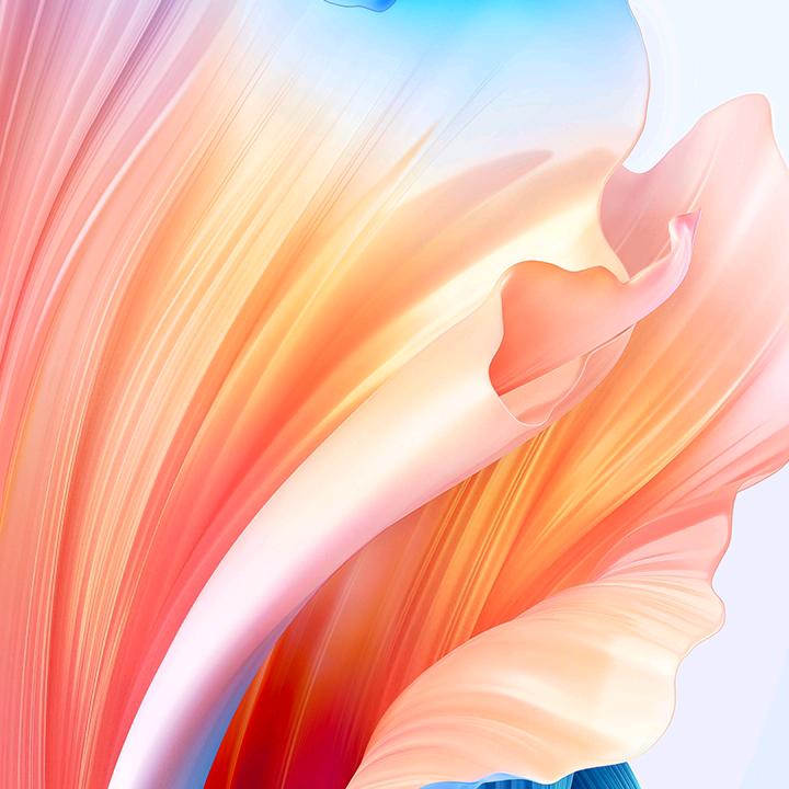梨花开