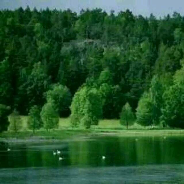 ໑ຼₒ₂₅ღ好运加满⁺¹⁰⁰