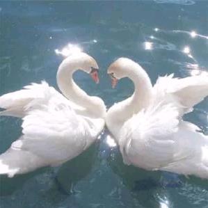 ■□勇 | □霪■瑶