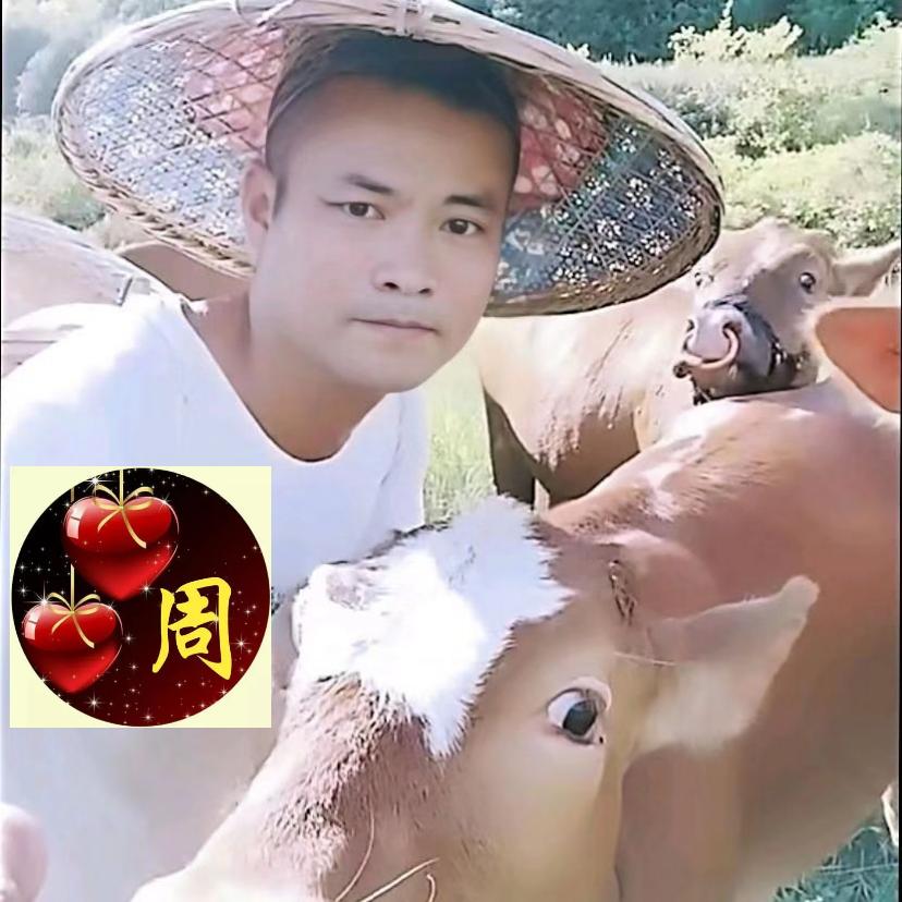 乡村农夫