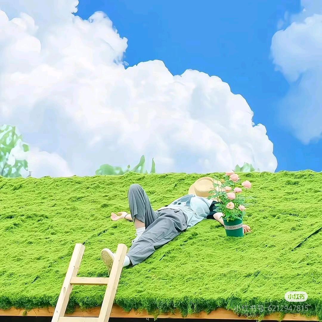 汪叽