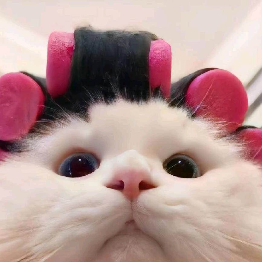 妤,