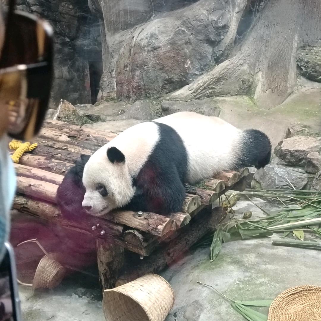 生活真的不容易