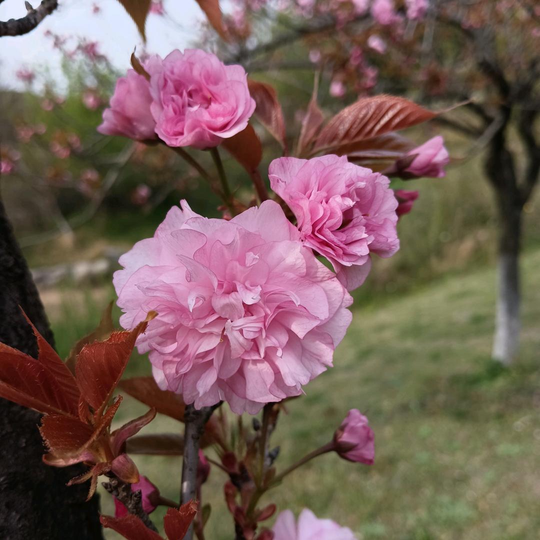 @凡事感恩小陈💖